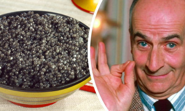 Даже рыбы в составе нет: вот как французы готовят черную икру для бедных